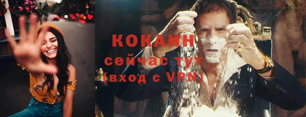 трава Абаза
